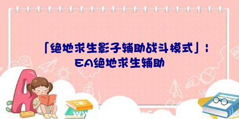 「绝地求生影子辅助战斗模式」|EA绝地求生辅助